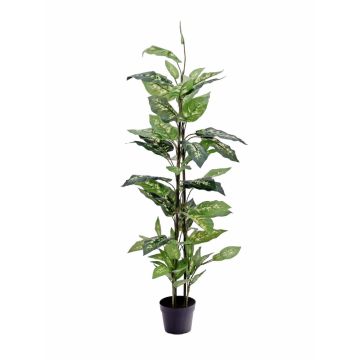 Dieffenbachia de plástico DANY, vara de fijación, verde-blanco, 120cm