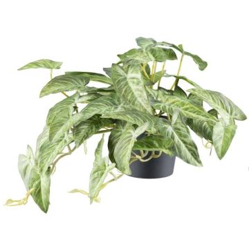Planta artificial Alocasia zebrina variegata colgante KLUVY, verde-crema, 40 cm Planta artificial Alocasia zebrina variegata colgante KLUVY, verde-crema, 40 cm
