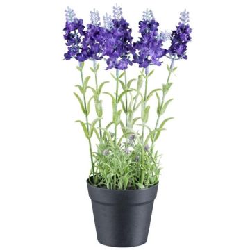 Flor artificial lavanda KLUSTOR en maceta decorativa, lila, 29 cm