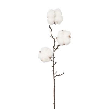 Rama decorativa SKLAVAN con frutos, blanca, 45 cm