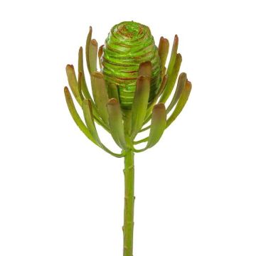 Flor artificial árbol plateado GROVEN, verde, 50 cm