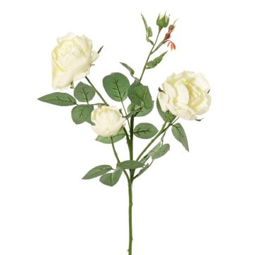 Rama de rosa artificial DIAMANTIS, crema, 70 cm, Ø 5-8 cm