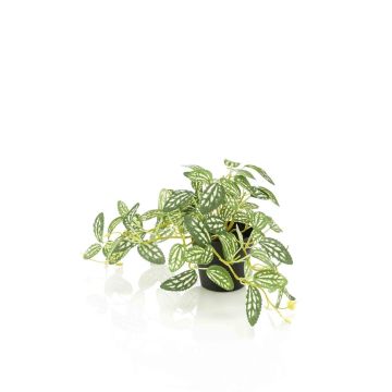 Planta artificial de pimienta enana MIHALLA en maceta decorativa, verde y blanca, 19 cm