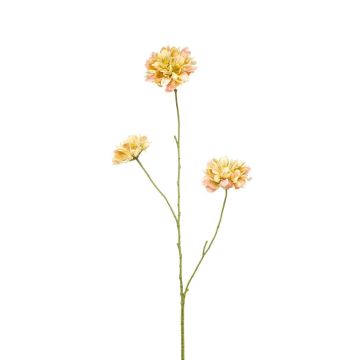 Rama decorativa Scabiosa DIHALLY, amarillo melocotón, 80 cm