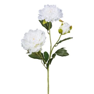 Rama de flores artificiales de peonía SLORMEK, blanco, 65 cm