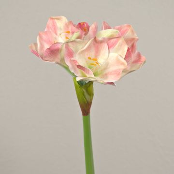 Flor de plástico de amarilis MIKUN, rosa-blanca, 55 cm