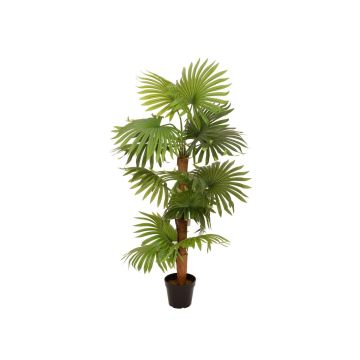 Palmera artificial Livistona rotundifolia GHADA, 130 cm Palmera artificial Livistona rotundifolia GHADA, 130 cm
