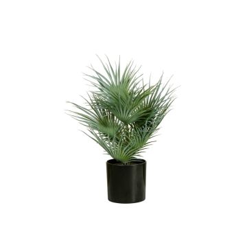 Palmera falsa CARISSA, 55 cm Palmera falsa CARISSA, 55 cm