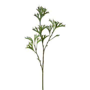 Rama decorativa de helecho STROMI, verde, 80 cm