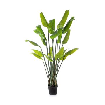Planta artificial Strelitzia OMBRA, verde, 200 cm