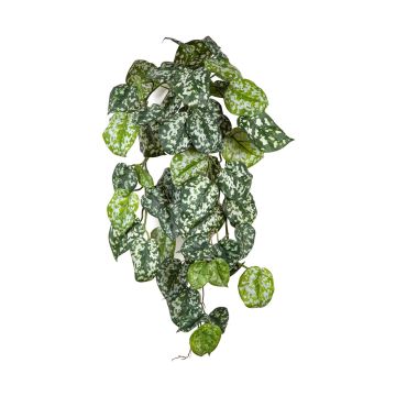Planta colgante artificial de hiedra moteada RONELIO con varilla, difícilmente inflamable, verde y blanco, 70 cm Planta colgante artificial de hiedra moteada RONELIO con varilla, difícilmente inflamable, verde y blanco, 70 cm