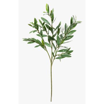 Rama de olivo artificial BRANDAR, crossdoor, verde, 70 cm Rama de olivo artificial BRANDAR, crossdoor, verde, 70 cm