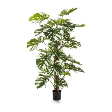 Planta artificial Filodendro Monstera Deliciosa Variegata MEBSUTA, verde y blanco, 160 cm