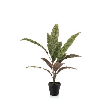 Planta artificial Calathea Makoyana WIDO en maceta decorativa, verde-burdeos, 60 cm