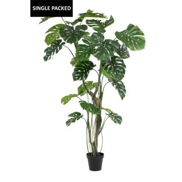 Planta artificial Philodendron monstera deliciosa TANIESO, tronco artificial, raíces aéreas, 210 cm