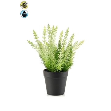 Erica artificial ELSAWO en maceta decorativa, crossdoor, blanco-verde, 30 cm