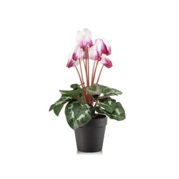 Ciclamen artificial VERIANA en maceta decorativa, blanco-rosa, 30 cm