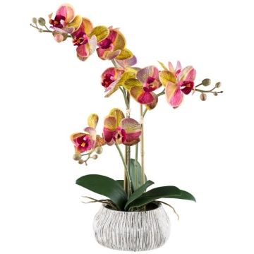 Orquídea Phalaenopsis artificial BLORVEN, cuenco de cemento, raíces, amarillo-rosa, 50 cm