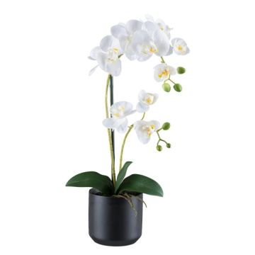 Orquídea Phalaenopsis textil MAYAK, maceta de cerámica, raíces, blanca, 50 cm