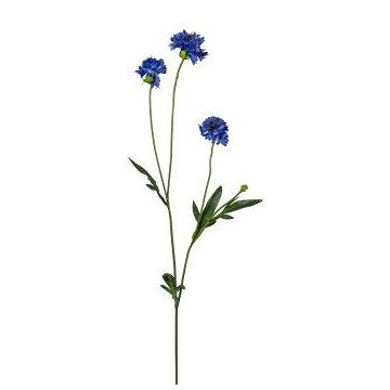 Rama decorativa de aciano FLUNK, azul, 60 cm