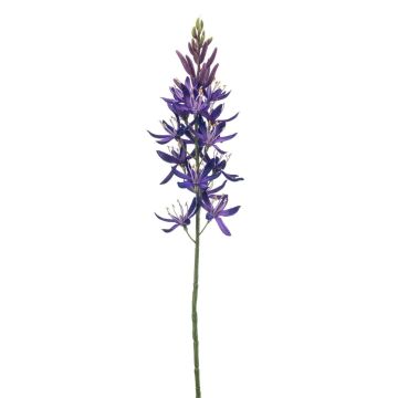 Lirio de pradera artificial SCHONRA, lila, 60 cm
