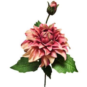 Flor artificial dalia WERNYT, rosa albaricoque, 45 cm