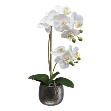 Orquídea Phalaenopsis textil MERMAY, maceta de cerámica, raíces, blanca, 50 cm