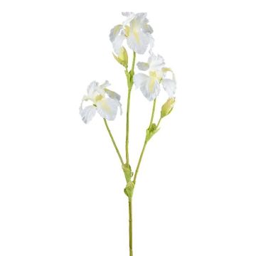 Rama decorativa de iris KLAVO, blanca, 80 cm