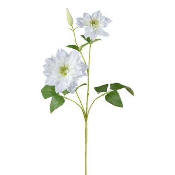 Rama de flores artificiales de clemátide ZOLME, blanca, 70 cm