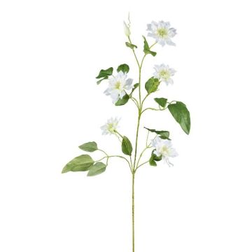 Rama de flores artificiales clemátide ZOLME, blanca, 110 cm
