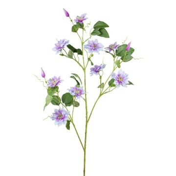 Rama de flores artificiales Clematis ZOLME, lavanda, 115 cm