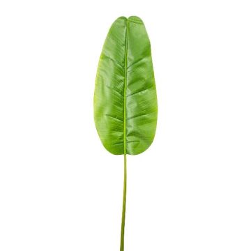 Hoja artificial de plátano GUINO, verde, 145 cm Hoja artificial de plátano GUINO, verde, 145 cm