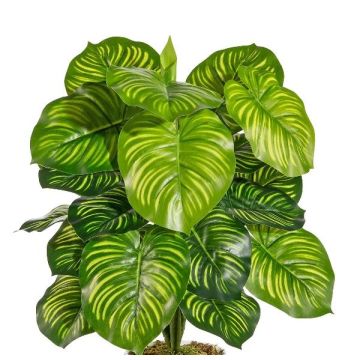 Planta artificial Calathea Orbifolia BLAHEN, varilla, verde, 50 cm