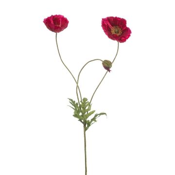Rama decorativa de amapola SCHUNRA, rosa oscuro, 75 cm