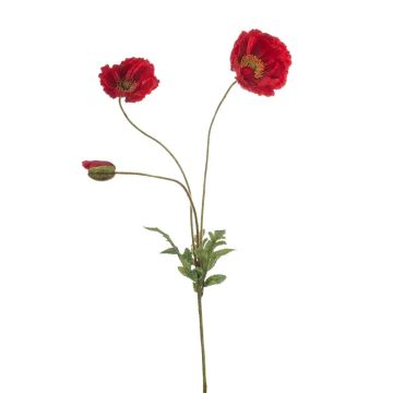 Rama decorativa de amapola SCHUNRA, roja, 75 cm