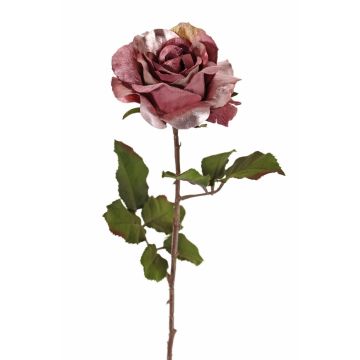 Rosa de terciopelo SINDALA, rosa antiguo, 60cm, Ø12cm