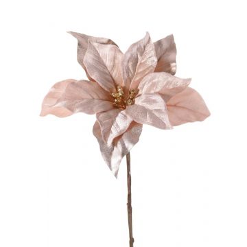 Poinsetia de terciopelo SHEBA, beige-rosa, 55cm, Ø23cm