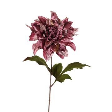 Dalia de terciopelo MINBU, rosa antiguo, 60cm, Ø18cm