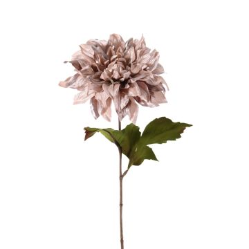 Dalia de terciopelo MINBU, beige-rosa, 60cm, Ø18cm