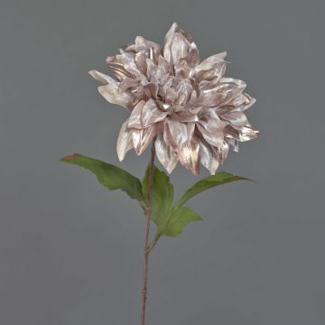 Dalia de terciopelo MINBU, beige-rosa, 60cm, Ø18cm