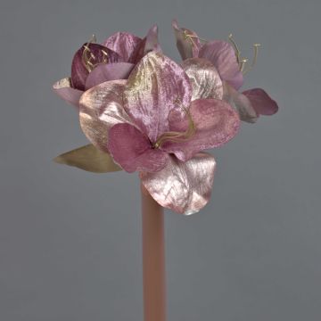 Amaryllis de terciopelo KIRSTY, rosa antiguo, 70cm, Ø9cm