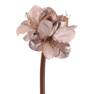 Amaryllis de terciopelo KIRSTY, beige-rosa, 70cm, Ø9cm