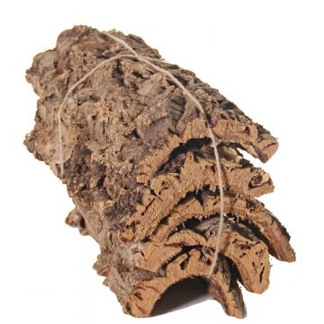 Piezas de corteza de corcho natural DIANTHA, 5 piezas, marrón, 50x25cm