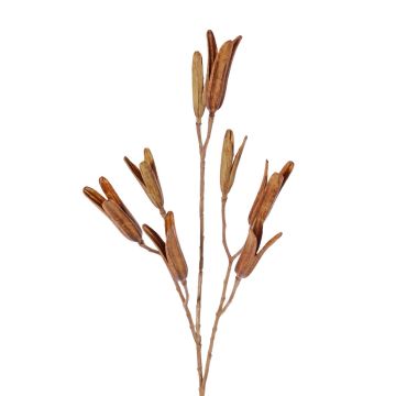 Rama de lirio artificial ELFIDA, marrón, 80cm