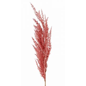 Rama artificial de hierba de la pampa ERATO, rosa, 100cm