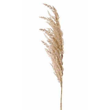 Rama artificial de hierba de la pampa ERATO, beige-crema, 100cm