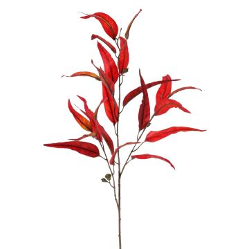 Rama de eucalipto artificial EUSEBIOS, rojo, 100cm