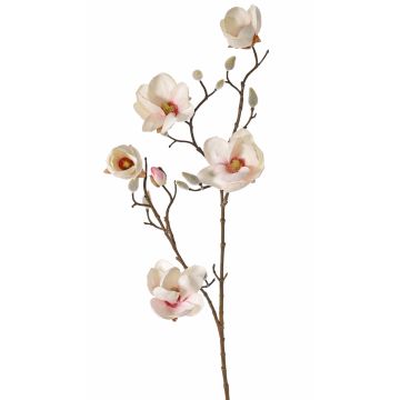Magnolia artificial KOSTAS, crema-rosa, 80cm, Ø5-8cm