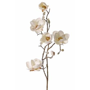 Magnolia artificial KOSTAS, crema, 80cm, Ø5-8cm