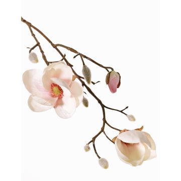 Magnolia artificial KOSTAS, crema-rosa, 55cm, Ø5-8cm